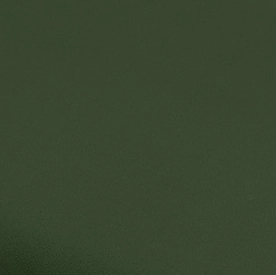 Vert foncé - BLANCA