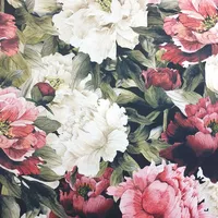 Pivoines - MONABI